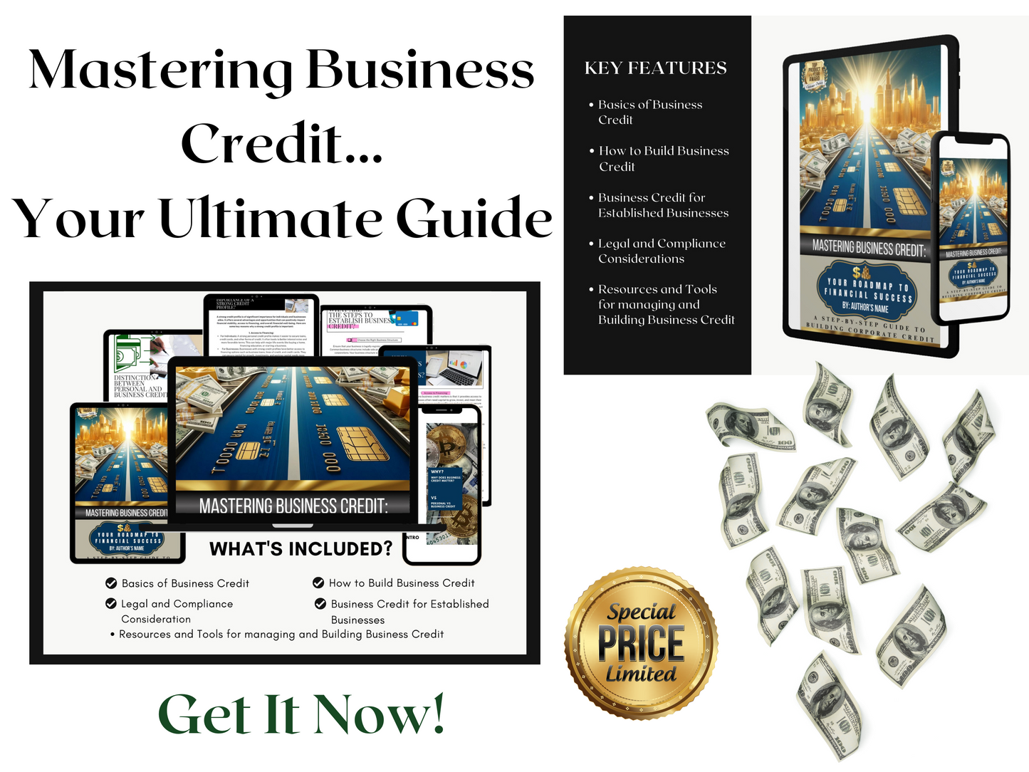 Mastering Business Credit: Ultimate Guide for Establishing & Enhancing Credit for All Businesses